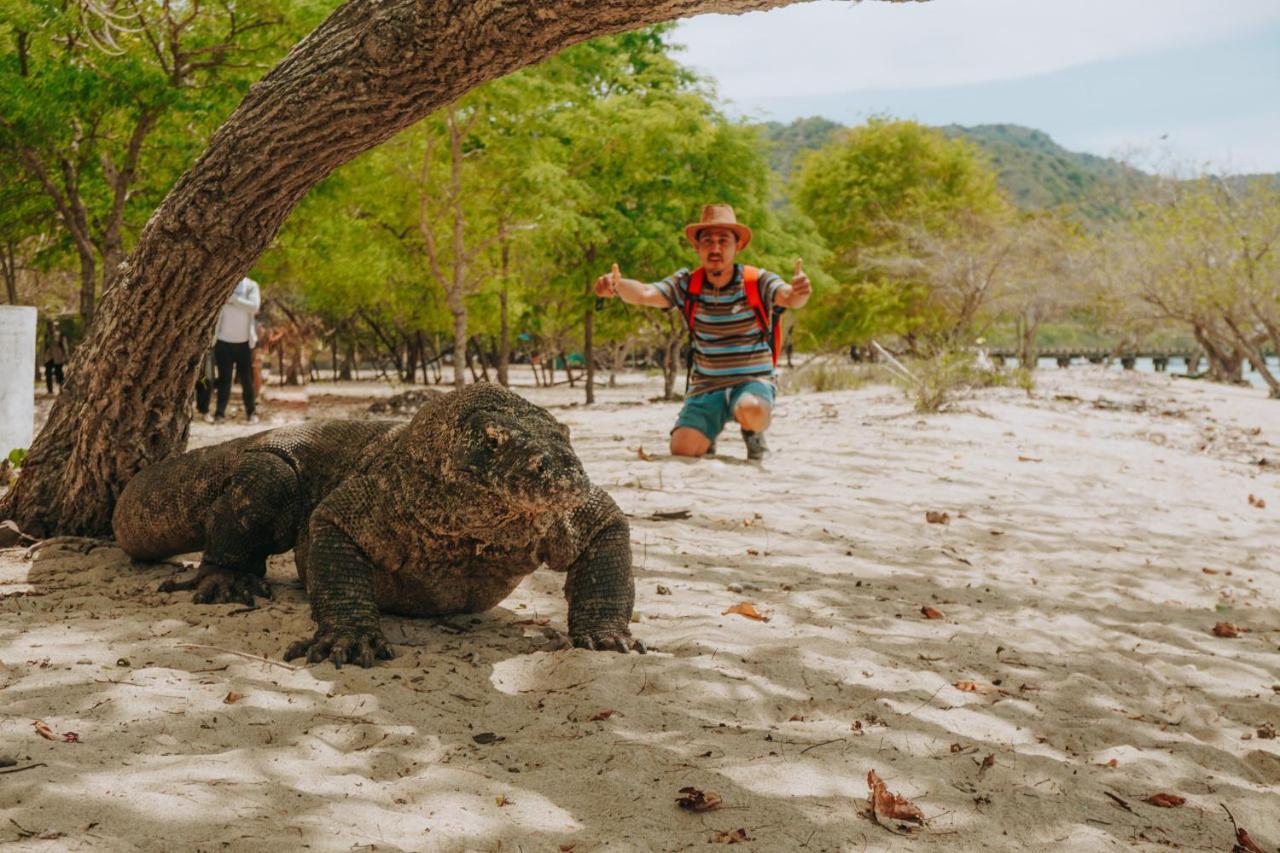 Komodoku One Love Homestay And Tour 라부안 바조 외부 사진