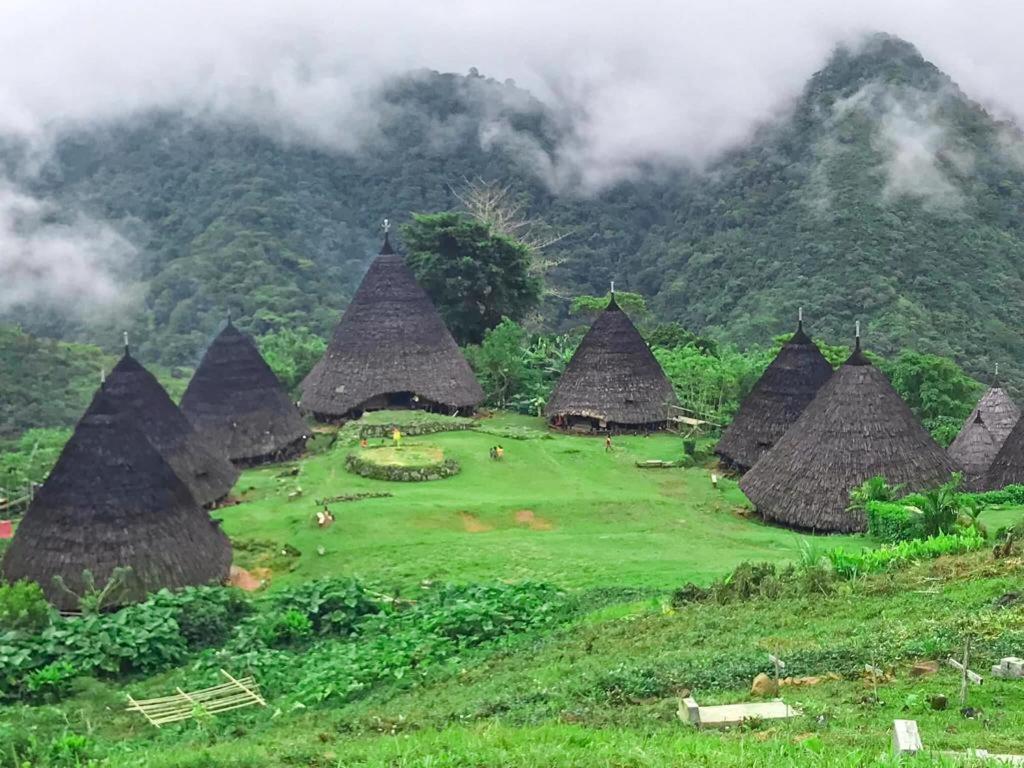 Komodoku One Love Homestay And Tour 라부안 바조 외부 사진